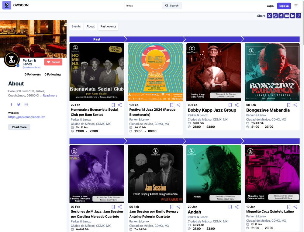 Owsoon website screenshot