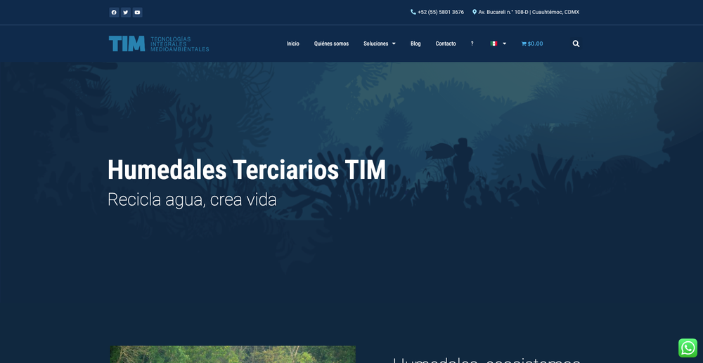 Think TIM website screenshot